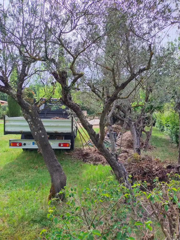 Accumulation de branches avant évacuation des végétaux à Aix-en-Provence