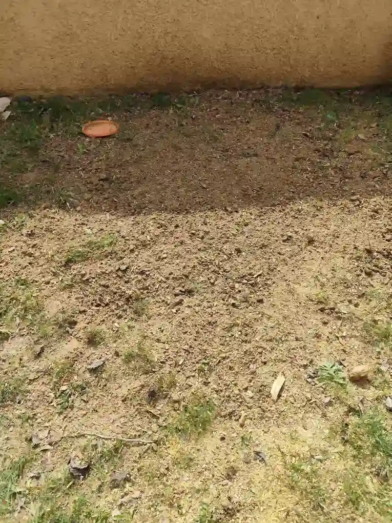 Terrain plat après rognage de souche à Aix-en-Provence