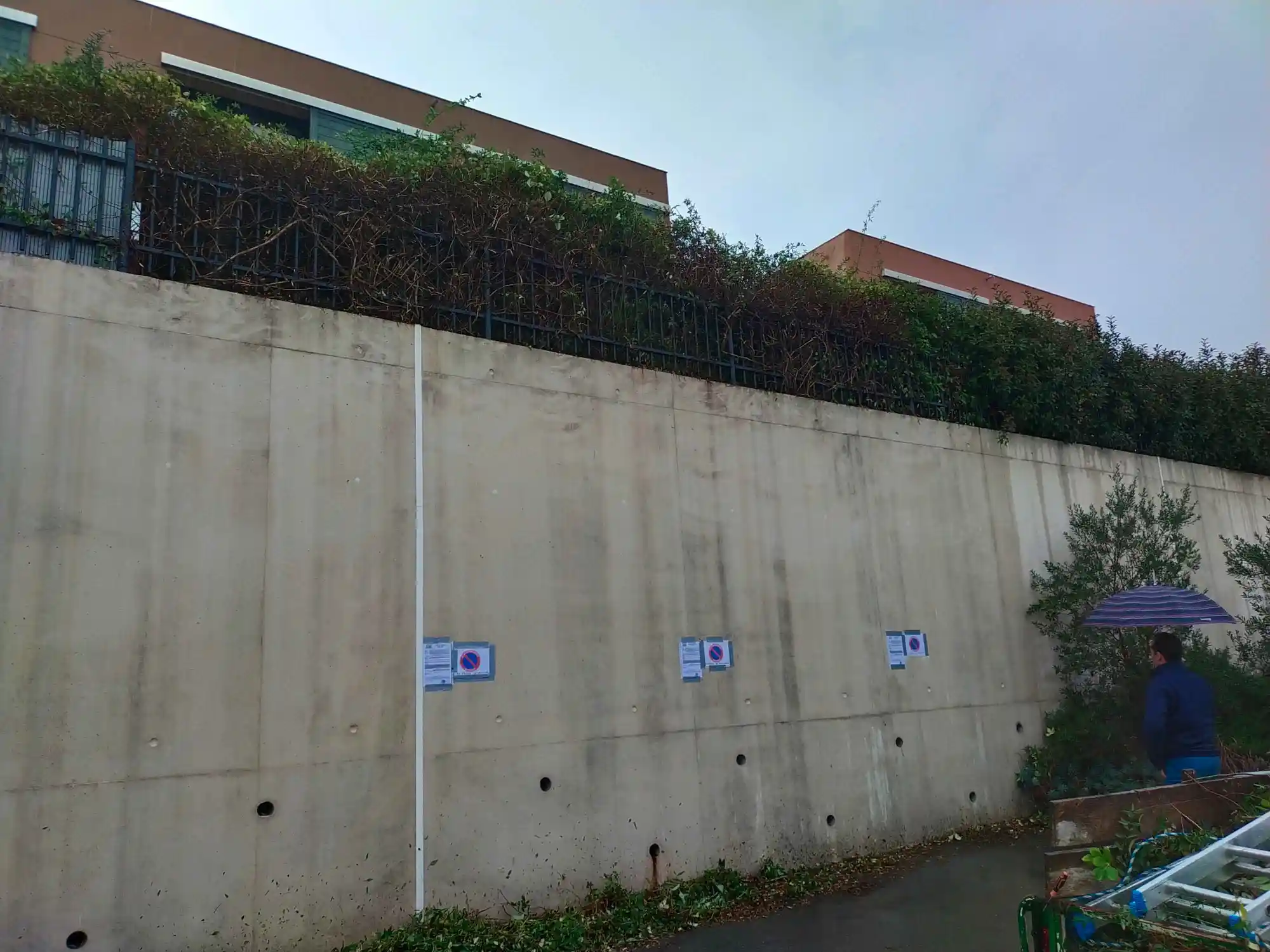 Résultat net après taille de haie à Aix-en-Provence