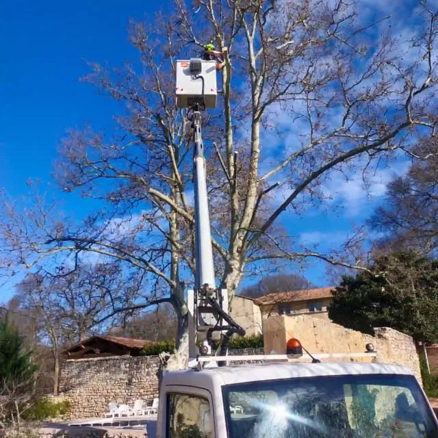 Élagage avec nacelle à Auriol pour une intervention sécurisée, précise et efficace