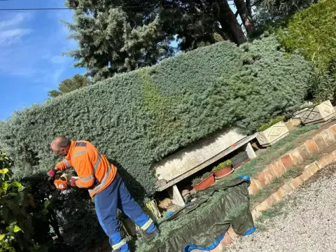 Gazeaux Élagage & Jardin