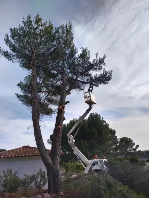 Élagage avec nacelle à Aix‑en‑Provence pour une intervention sécurisée, précise et efficace